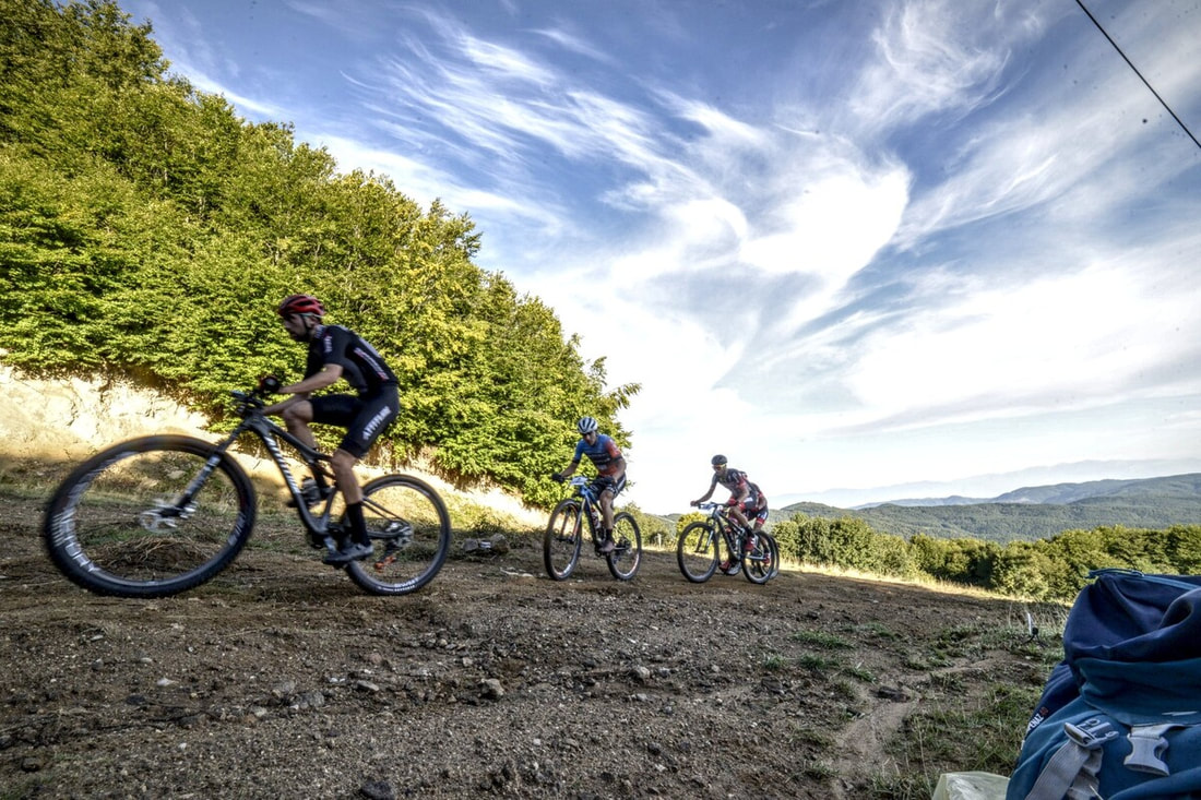 Escursione in mountain bike nel Parco della Sila