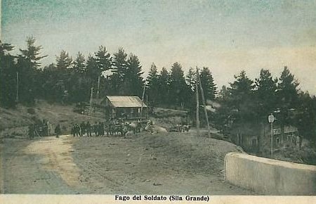 Fago del Soldato (Sila Grande)
