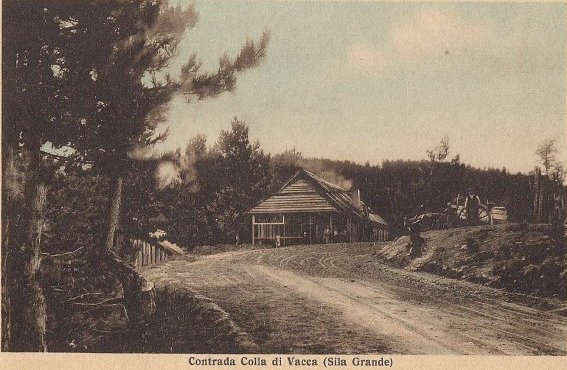 Contrada Colla di Vacca (Sila Grande)