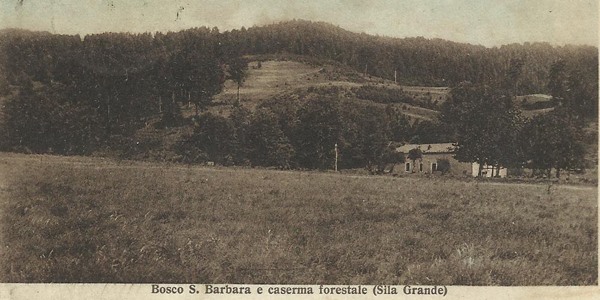Bosco S. Barbara e caserma forestale (Sila Grande)