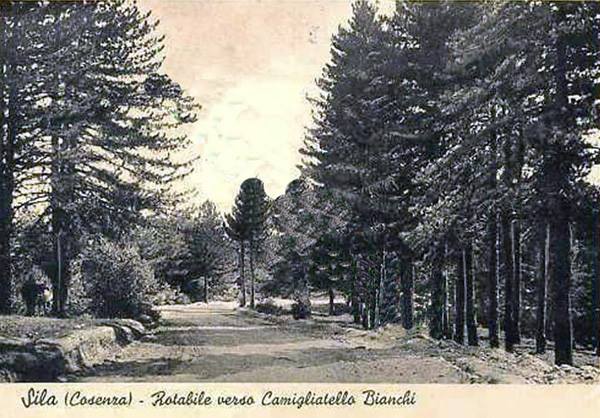 La rotabile verso Camigliatello Bianchi