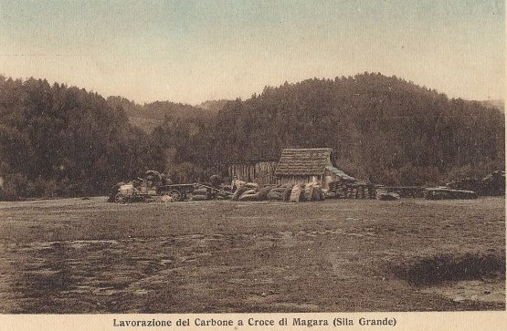 Lavorazione del carbone a Croce di Magara (Sila Grande)